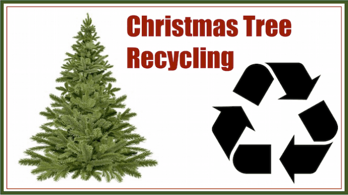 Christmas Tree Recycling