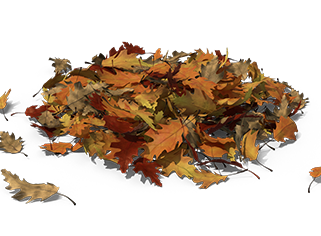 compost leaves.png